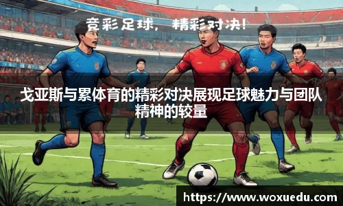 28圈官方网站