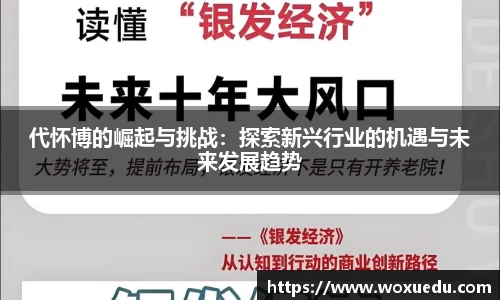 代怀博的崛起与挑战：探索新兴行业的机遇与未来发展趋势
