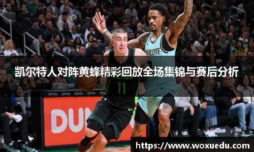 28圈官方网站