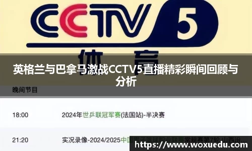 28圈官方网站