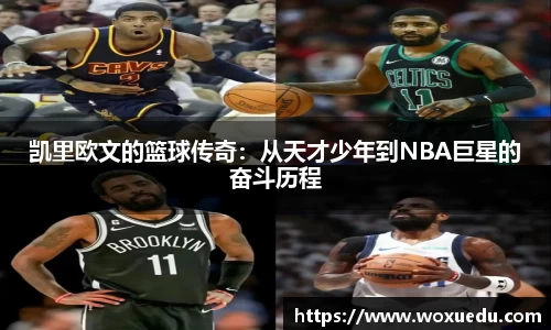 28圈注册链接入口