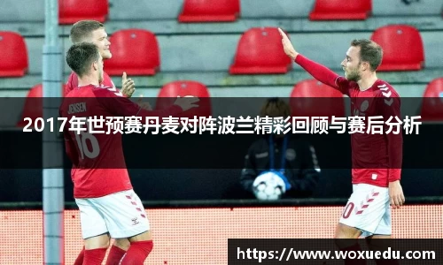 2017年世预赛丹麦对阵波兰精彩回顾与赛后分析