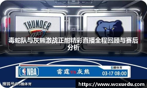 毒蛇队与灰熊激战正酣精彩直播全程回顾与赛后分析