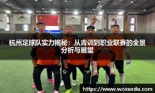 杭州足球队实力揭秘：从青训到职业联赛的全景分析与展望