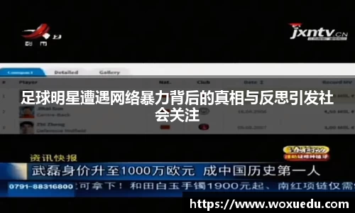 足球明星遭遇网络暴力背后的真相与反思引发社会关注